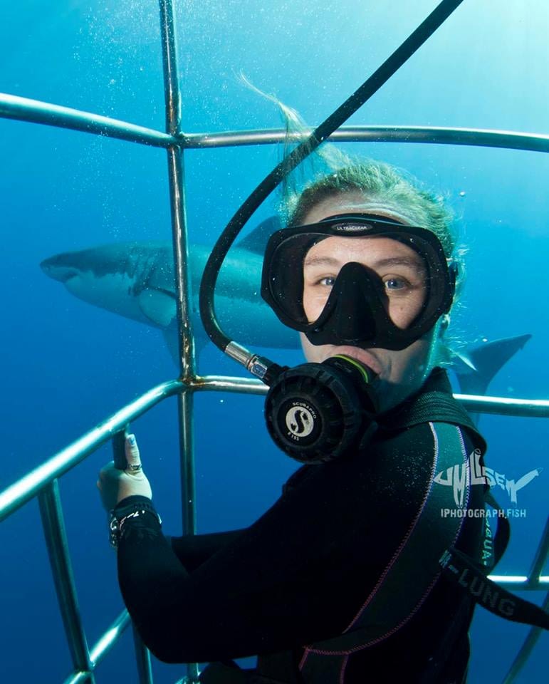 sarah mayte swimming with great white sharks